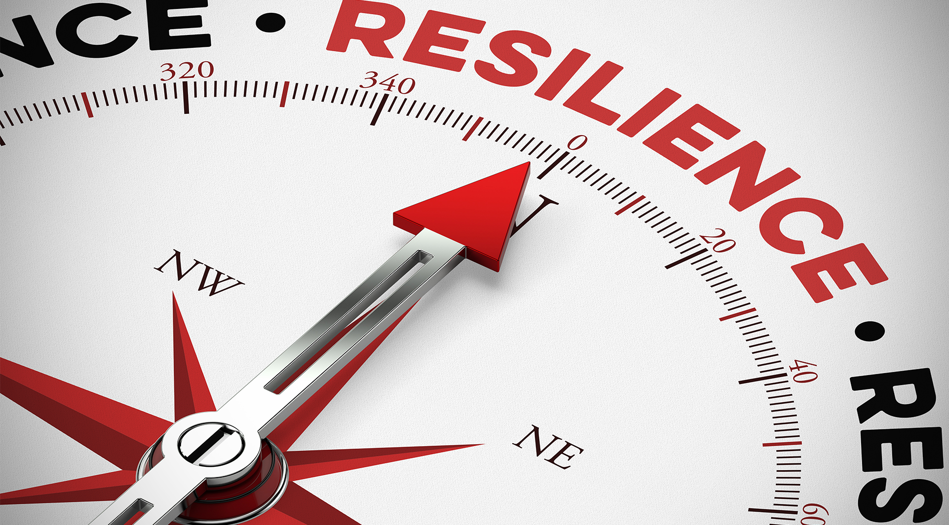 October 3rd MAPP (Online): Building Community Resilience Through